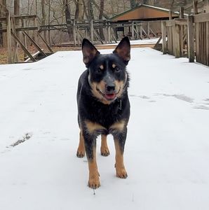 Meet your Posher, Jill